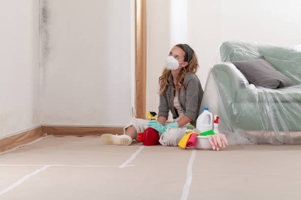 Reliable Mold Removal contractor in Jamison, PA by Mold Remediation HQ